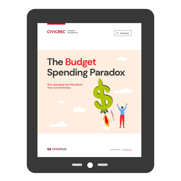 landing page graphic - budget paradox