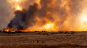 Wildfire at a farm