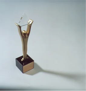 Gold Stevie® Award