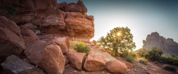 Red Rock Park in McKinley County, New Mexico