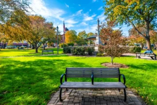 View of a bench in a public park.