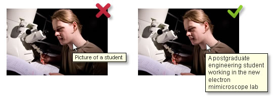Alt Text for Images